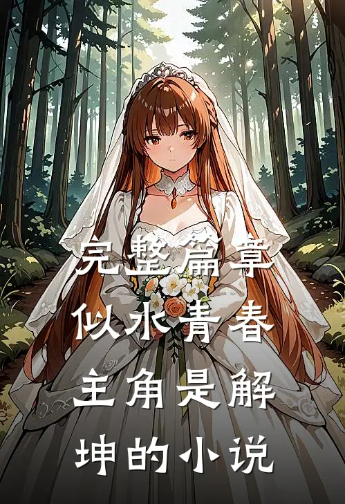 完整篇章似水青春主角是解坤的小说