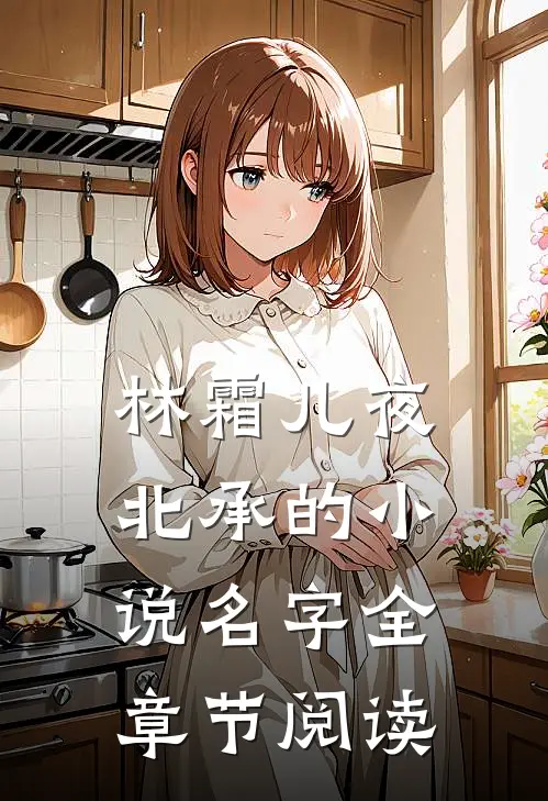林霜儿夜北承的小说名字全章节阅读