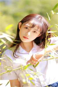 北雁流霜旧人寞全章节阅读