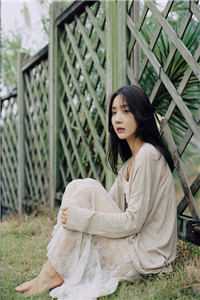 他野得很热门小说