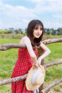 夏日回响全章节阅读