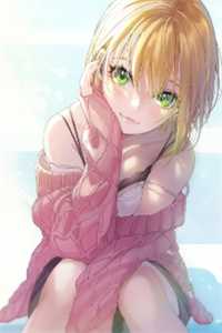 木兰归心向镇岳优质全文阅读