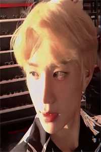 谁与长夜共白头小说