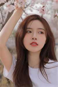 北雁流霜旧人寞小说在线阅读免费