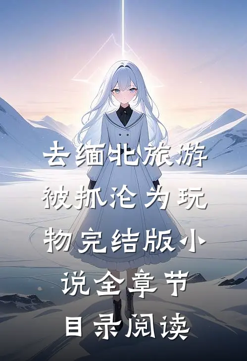 去缅北旅游被抓沦为玩物完结版小说全章节目录阅读