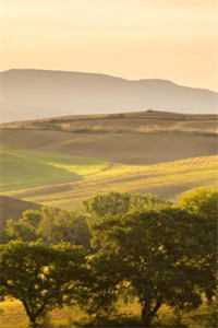 待你寻我时，世上已无我人气小说