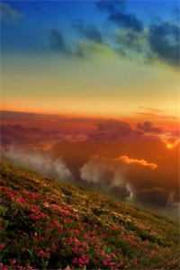 白露枝头复往春无删减+无广告