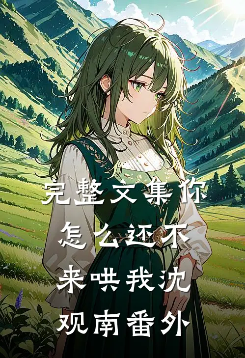 完整文集你怎么还不来哄我沈观南番外