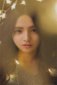 晚星沉海不再归免费阅读