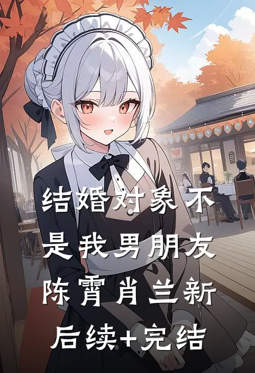 结婚对象不是我男朋友陈霄肖兰新后续+完结