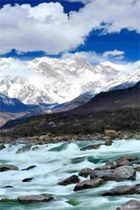 太子想搞强制爱？抱歉我出逃了无删版