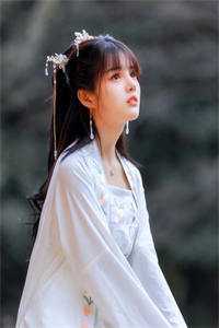 一枕月华解相思免费阅读