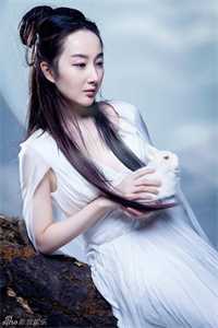 许你人间半阙春爽文