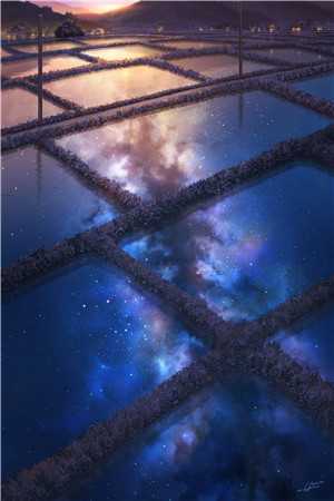 落日与晚风无错版