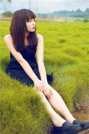 春日百花齐放，而我对你的爱在消散宁宁沈泽宇全局