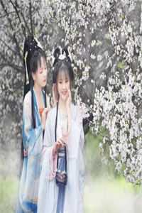 社畜神医暴富指南：从权贵到江湖短篇小说阅读