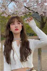 刚重生，豪门总裁就对她强取豪夺？小说全文免费