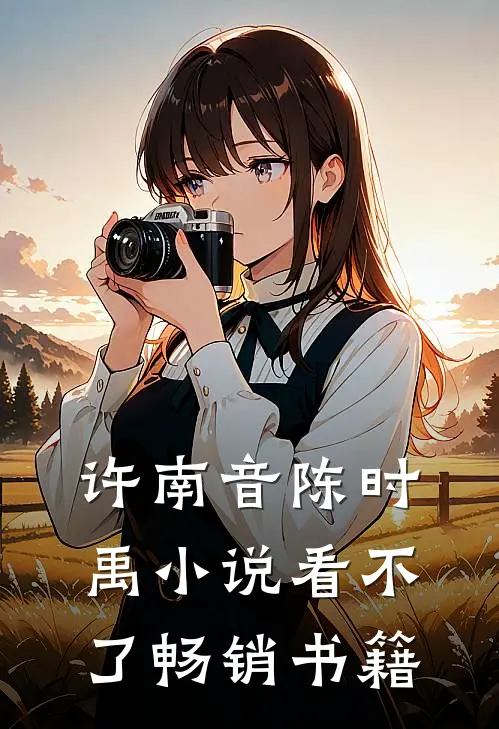 许南音陈时禹小说看不了畅销书籍