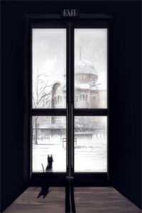 三年喂狗，一夜间变柠檬精未删减版