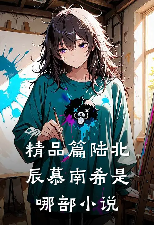 精品篇陆北辰慕南希是哪部小说
