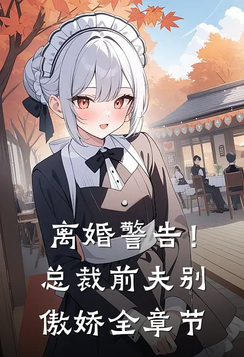 离婚警告！总裁前夫别傲娇全章节