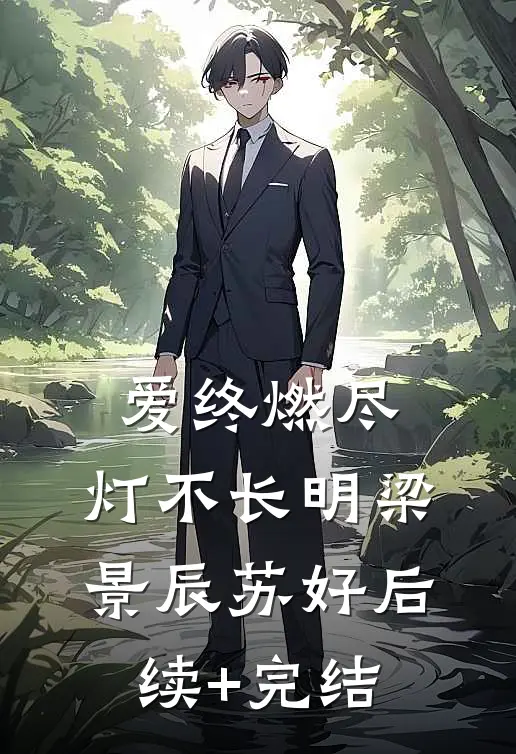 爱终燃尽，灯不长明梁景辰苏好后续+完结