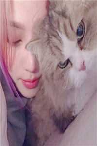 雪落无声覆白头谢聿顾婉怡全文