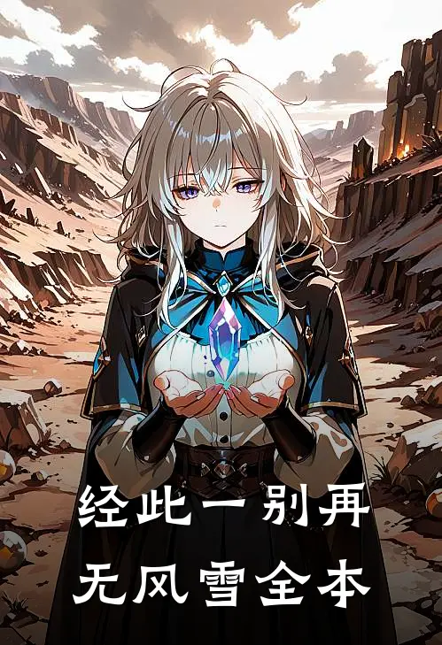 经此一别再无风雪全本