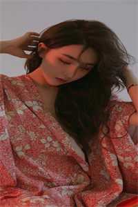 他携山河踏花来精选