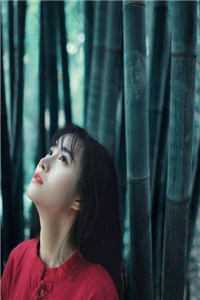 一叶知秋，半生知寒章节