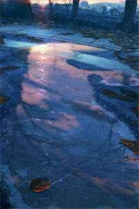 我爸病危，老婆拿救命钱给私生子买学区房在线