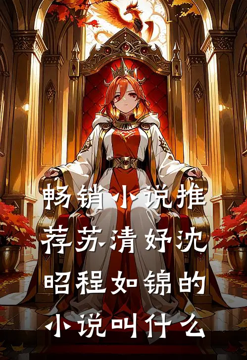 畅销小说推荐苏清妤沈昭程如锦的小说叫什么