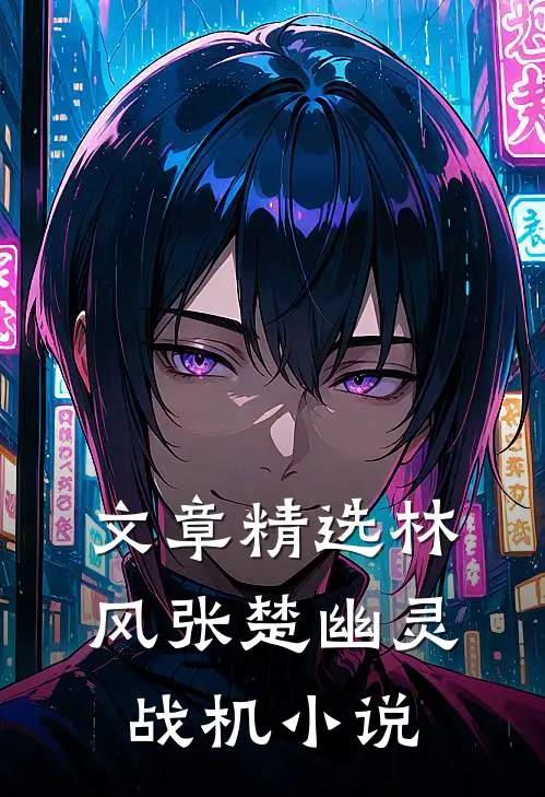 文章精选林风张楚幽灵战机小说