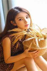 灯影繁时花辞远在线