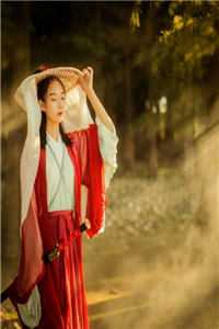 梨枝空映月，不见旧人归优质全文阅读