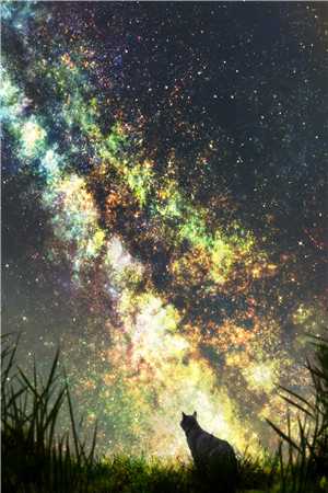 清冷权贵缠上他人妇，夜夜不停吻抖音