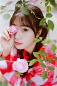 梨枝空映月，不见旧人归最新热门小说