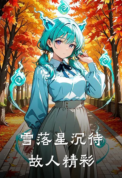 雪落星沉待故人精彩