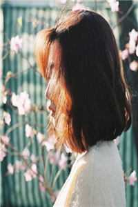 宴后望他如烬雪异常火爆