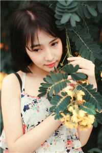 旧梦沉于春风后续+全文