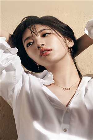 斯人若明月千里章节