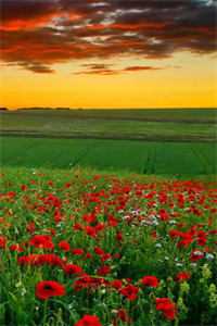 不让竹马走后台升职加薪，妻子就带领员工集体辞职威胁我！目录