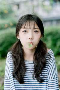 寒戈辞云向朝阳小说免费