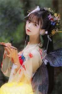 不见桐花万里路全文阅读最新