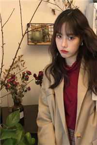 一枕流年赴远山小说免费阅读