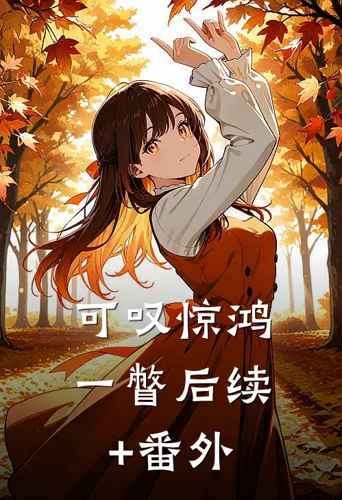 可叹惊鸿一瞥后续+番外