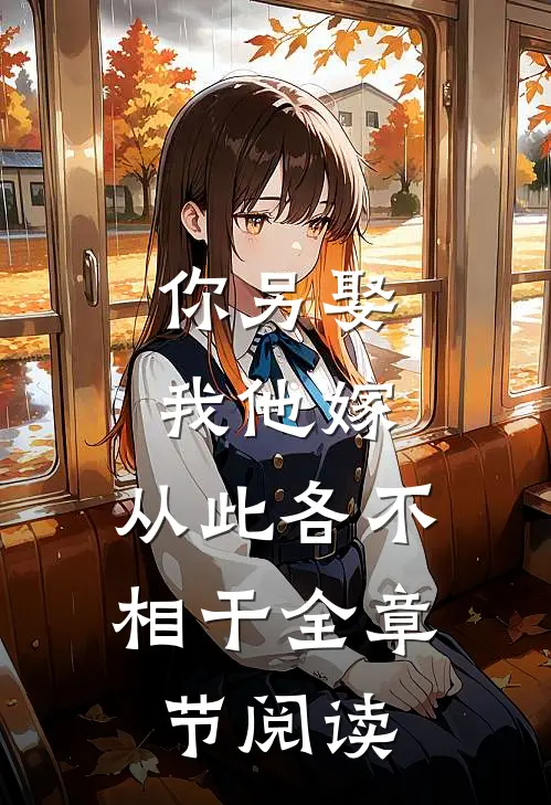 你另娶我他嫁,从此各不相干全章节阅读免费
