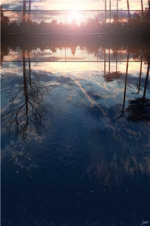 寒戈辞云向朝阳免费