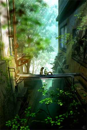 落日与晚风全文阅读最新