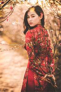 老婆和男秘书纠缠不清，我让他们火遍全网结局+番外